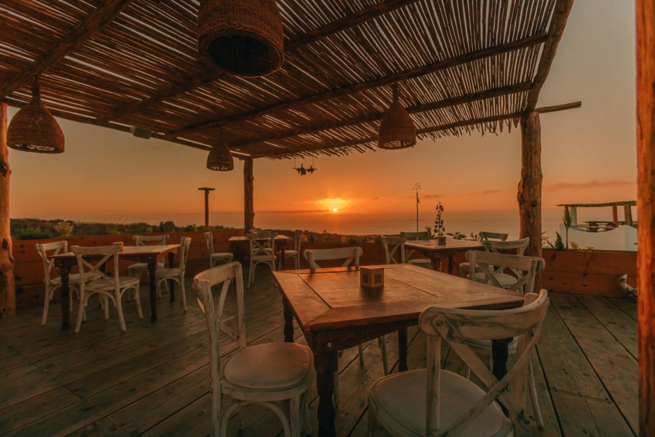 Nest Baja Ξενοδοχείο San José del Cabo Εξωτερικό φωτογραφία