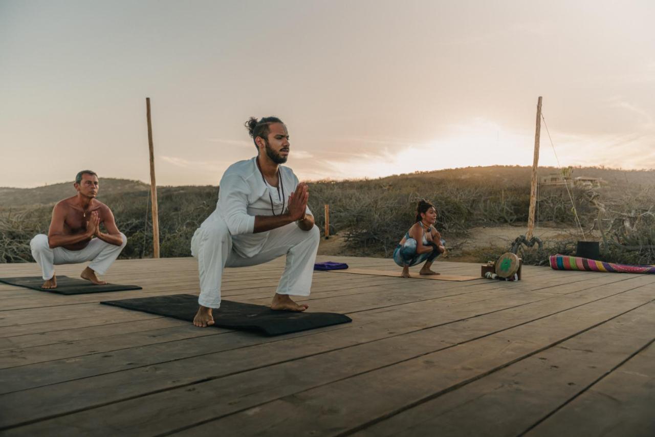 The White Lodge San José del Cabo Εξωτερικό φωτογραφία