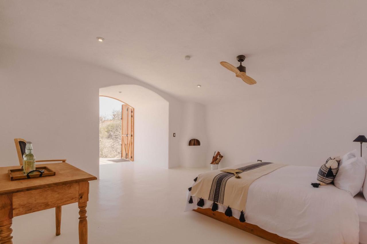 The White Lodge San José del Cabo Εξωτερικό φωτογραφία