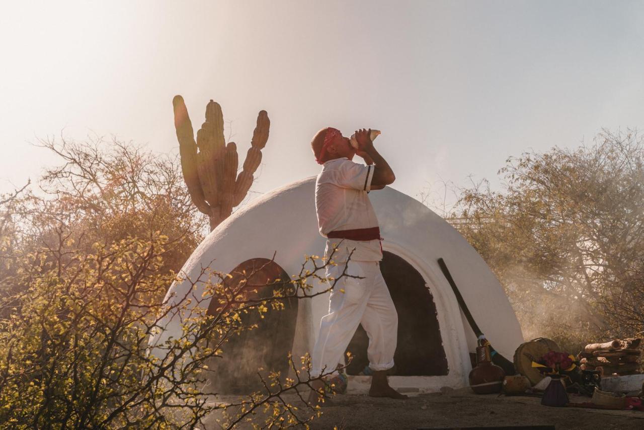 The White Lodge San José del Cabo Εξωτερικό φωτογραφία